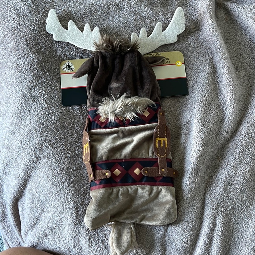 Disney Pet Costume: NEW